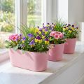 Ültetőcsónak ültetőtál ovális rózsaszín 27×11×10cm 3db | Floristik24.hu