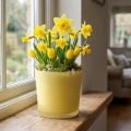 Üveg virágcserép sárga dekoratív üveg kád Ø11,5cm H11cm | Floristik24.hu
