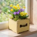 Növényfiókos fa dekoratív növénydoboz sárga 12,5cm | Floristik24.hu