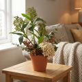 Műzöld japán spárgavirág, 45 cm, 2 db | Floristik24.hu