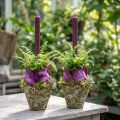 Kaspó rusztikus, erdei hatású, Ø12,5cm, M12cm, 2db | Floristik24.hu