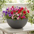 Műanyag virágtál, antracit, Ø35cm, M16.5cm | Floristik24.hu