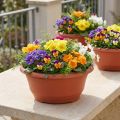 Műanyag virágtál Ø27cm kerek tál terrakotta 5db | Floristik24.hu