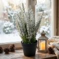 Erika fehér hanga seprű hanga műnövény H26cm | Floristik24.hu
