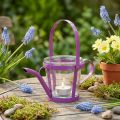 Lámpás üveg dekoratív öntözőkanna fém rózsaszín Ø14cm H13cm | Floristik24.hu