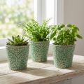 Ültetőkerámia roppanómáz zöld Ø11cm H11cm 3db | Floristik24.hu