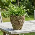 Kaspó rusztikus mohahatású virágcserép Ø17cm M16.5cm | Floristik24.hu