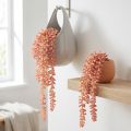 Sedum 'Rubin' csüngőnövény – dekoratív, könnyen gondozható pozsgás 43cm 3db. | Floristik24.hu