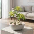 Zamatos műnövény csákányos Aeonium Green 30cm 4 db | Floristik24.hu