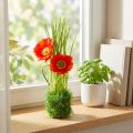 Mákpiros a fűben 23cm | Floristik24.hu