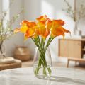 Mini calla műsárga 28cm 12 db | Floristik24.hu