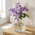 Üvegváza átlátszó hengeres Ø12cm H20cm | Floristik24.hu
