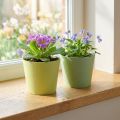 Papírcserép, mini cserep, cachepot kék/zöld Ø9cm H7,5cm 4db | Floristik24.hu