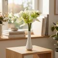 Mesterséges orchidea művirág vázában fehér/zöld 28cm | Floristik24.hu
