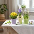 Cserepes szőtt ültetőpapír zöld, sárga, lila Ø7cm H13cm 12db | Floristik24.hu
