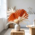Palmspear Napnarancs 30 db | Floristik24.hu
