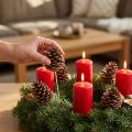 Maritima fenyőtobozok, natúr, 5-10 cm-esek egy pálcikán, 50 darab | Floristik24.hu
