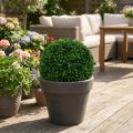 Buxwood labda zöld Ø25cm | Floristik24.hu
