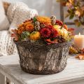 Nyírfakéreg virágcserép indákkal, kerek, Ø33cm, M16cm, díszítéssel | Floristik24.hu