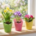 Ültetőpapír szőtt rózsaszín, sárga, zöld Ø7cm H13cm 12db | Floristik24.hu
