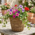 Szőlőültető kosár Ø25cm M22.5cm natúr virágtartóval | Floristik24.hu