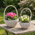 Növénykosár 2 darabos szett, szalma, natúr, fehér, Ø23/28, shabby chic | Floristik24.hu