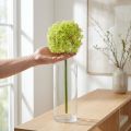 Allium zöld virágos műdíszhagyma Ø18cm 90cm | Floristik24.hu