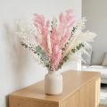 Rózsaszín toll spárga (Asparagus) szárított dísz 55-70cm | Floristik24.hu