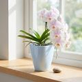Orchidea cserép fényes Ø12,5cm fehér 1 db | Floristik24.hu