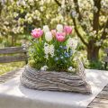 Növényi szív növényi tál rattan szív fehér natúr 28x34cm | Floristik24.hu