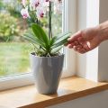 Orchidea cserép fényes Ø12,5cm szürke 1 db | Floristik24.hu
