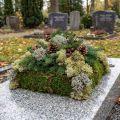 Dekoratív moha – valódi moha és zuzmó virágdíszekhez 250g | Floristik24.hu