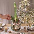 Dekoratív üvegváza lámpás üveg átlátszó Ø18cm H20cm | Floristik24.hu