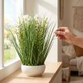 Dekoratív fű Cosmea virágokkal egy tálban H45cm | Floristik24.hu