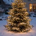 LED rizs világítólánc meleg fehér külső 720er 54m | Floristik24.hu