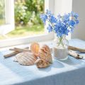 Kagylódísz tengeri csiga natúr 350g × 3db | Floristik24.hu