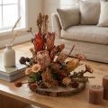 Szárított egzotikus protea tobozok, Bellgum 24–48 cm 580 g - Művirág dekoráció Dél-Afrikában | Floristik24.hu