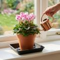 Lara alátét négyzet 25cm x 25cm antracit 1 db | Floristik24.hu