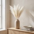 Szárított virágok, ezüstfű. Elegáns természetes dekoráció otthonra és irodába. 70 cm, 10 darab. | Floristik24.hu