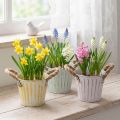 Ültetvödör, fém cserép fogantyúkkal, díszes virágtartó, rózsaszín/zöld/sárga, shabby chic, Ø12cm, M10cm, 3 db-os szett | Floristik24.hu