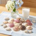 Üres kagylóhéjak természetes kagylódíszítéssel 3cm-5cm 300g | Floristik24.hu