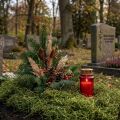 Dekoratív moha szárított erdei moha zöld natúr dekoráció 300g | Floristik24.hu
