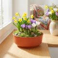 Z-alakú műanyag tál Ø16cm 10 db | Floristik24.hu