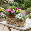 Fonott kosár természetes fonott növénytál natúr L30/22cm H20/17cm 2 db-os készlet | Floristik24.hu
