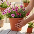 Fazék „Irys” műanyag terrakotta Ø29cm H24cm 1 db | Floristik24.hu