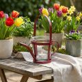 Lámpás üveg dekoratív öntözőkanna fém piros Ø14cm H13cm | Floristik24.hu