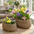Növénykosár fogantyús kosár virágkosár L23/35cm 2 db-os készlet | Floristik24.hu