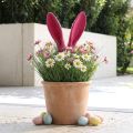 Nyuszi dekoratív fülek rózsaszín húsvéti bolyhos bothoz H56cm | Floristik24.hu