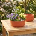 Z-alakú műanyag tál Ø22cm 10 db | Floristik24.hu
