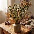 Eperbogáncs szárított dekoráció, olívazöld, Ø1–2cm, H55cm, 100g | Floristik24.hu